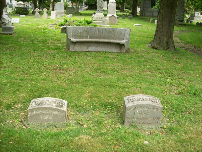 Grobno mesto Mihajla Pupina, Woodlawn Cemetery, New York